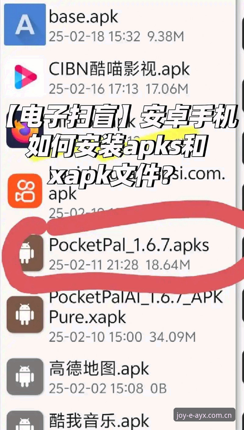 AYX怎么下载怎么下载 vs 第三方安装包：爱游戏体育平台新手避坑对比